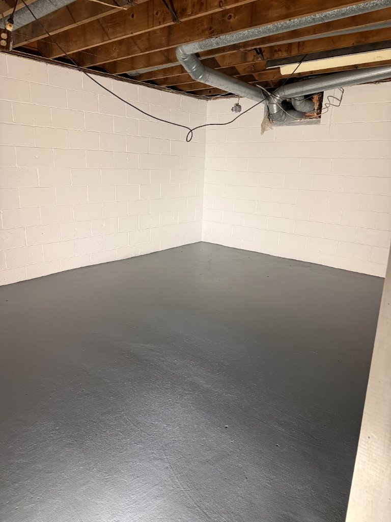 Basement painting project