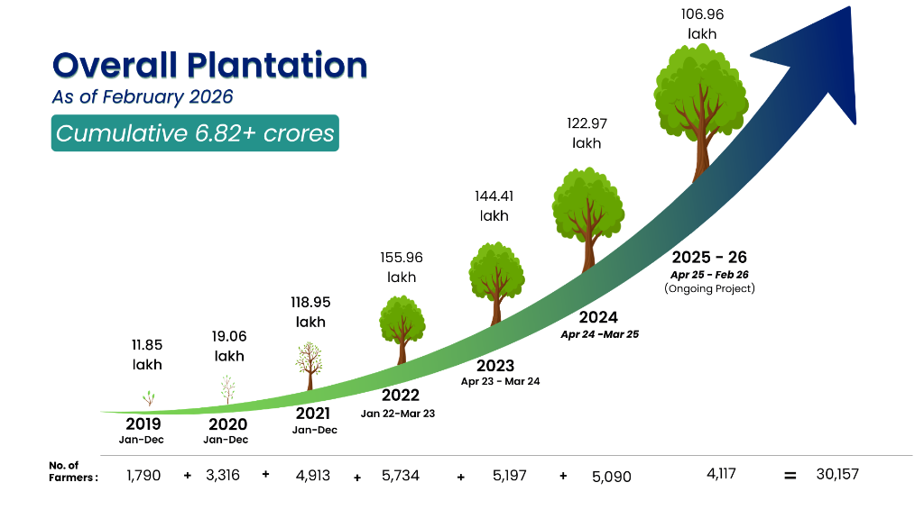 Overall Plantation Graph