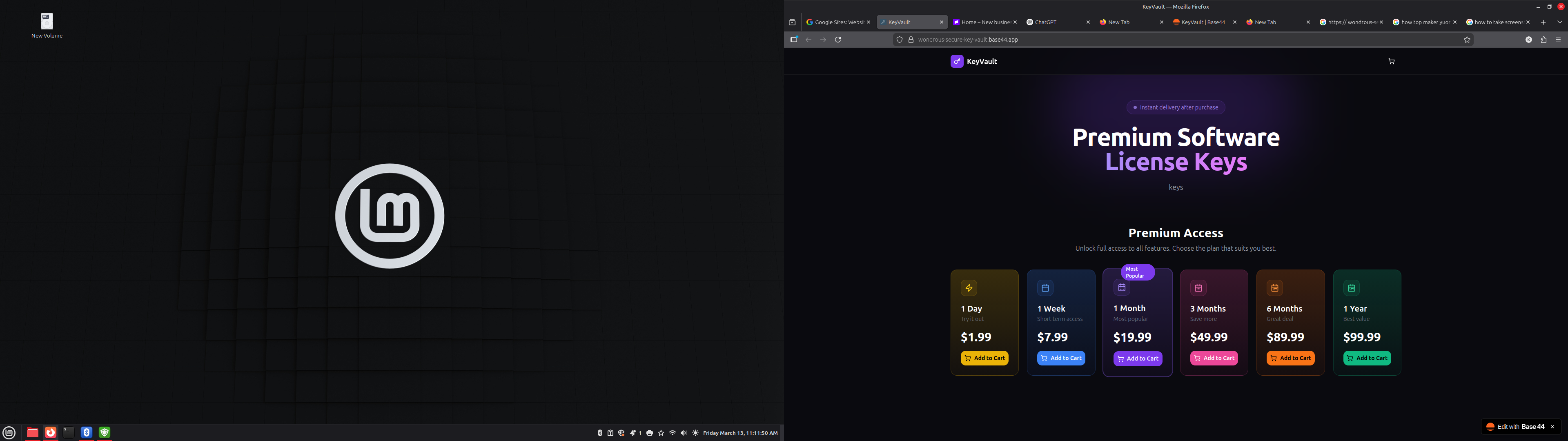 web v1 template preview