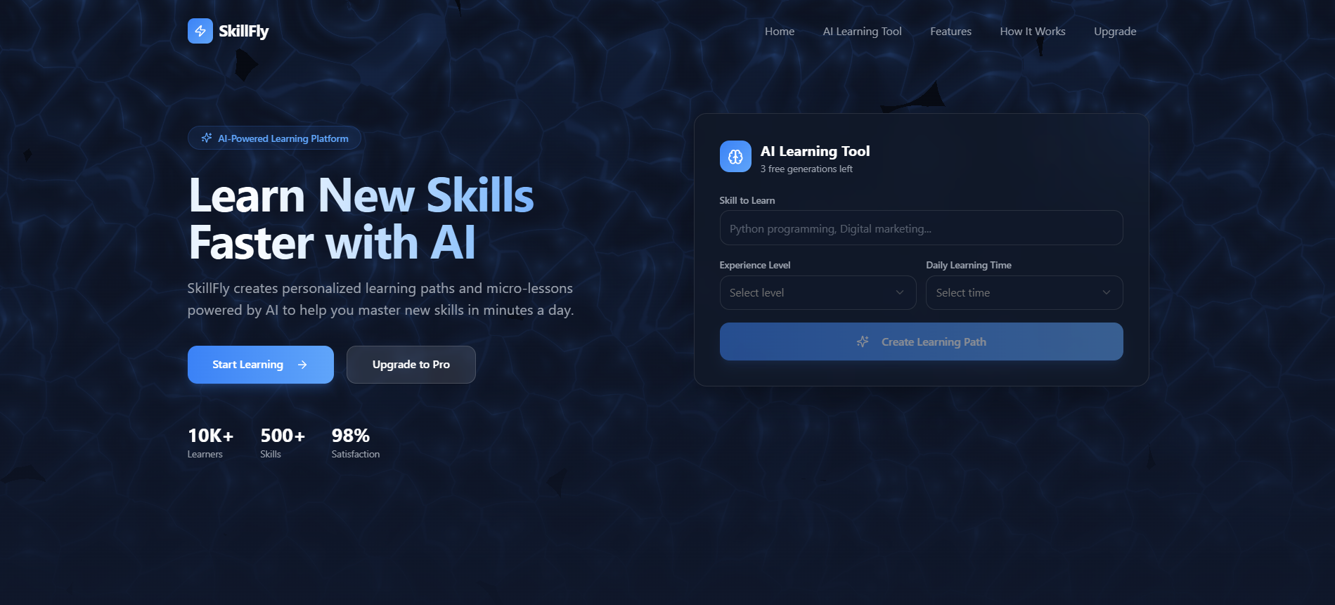 SkillFly template preview