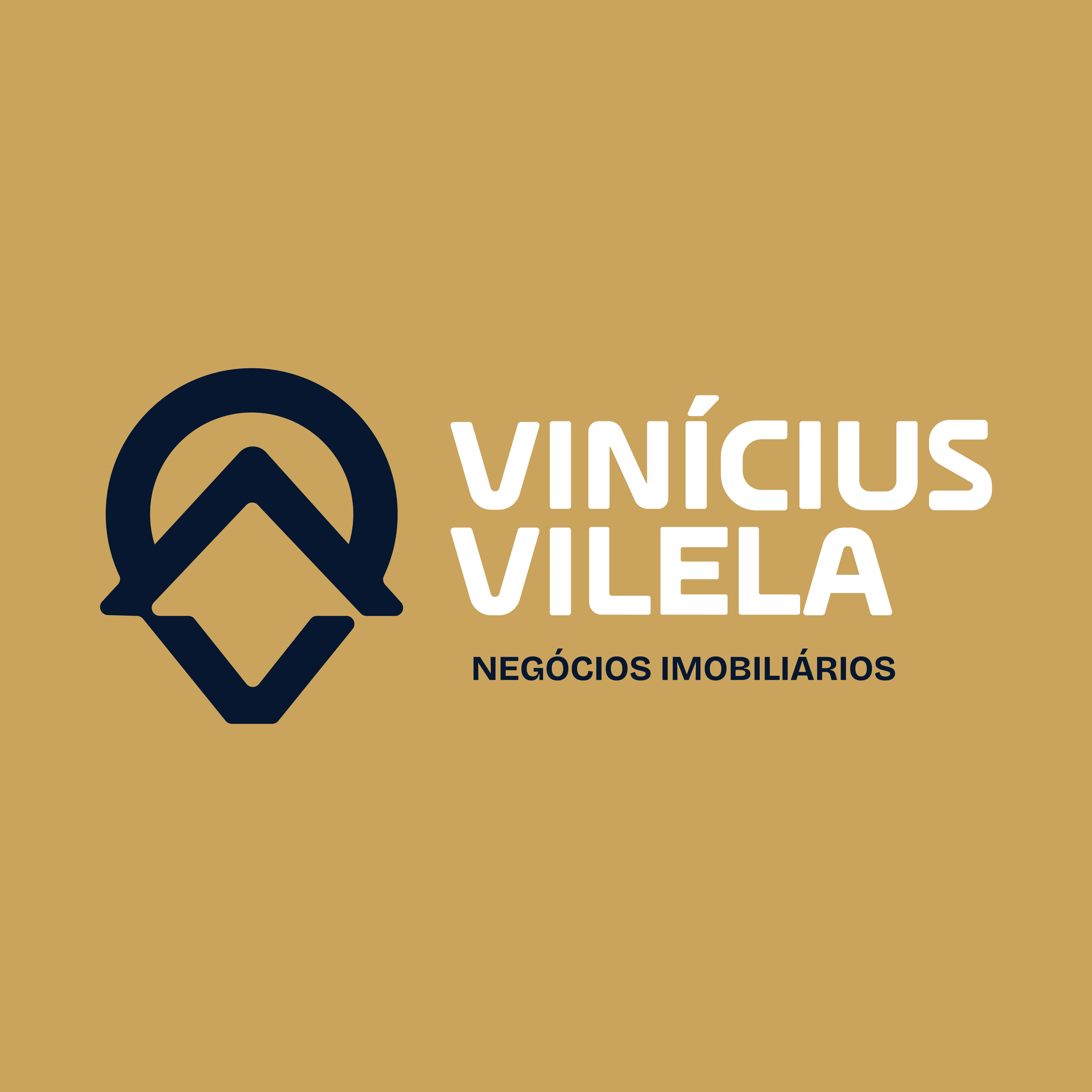 Flat`s Vinícius Vilela logo