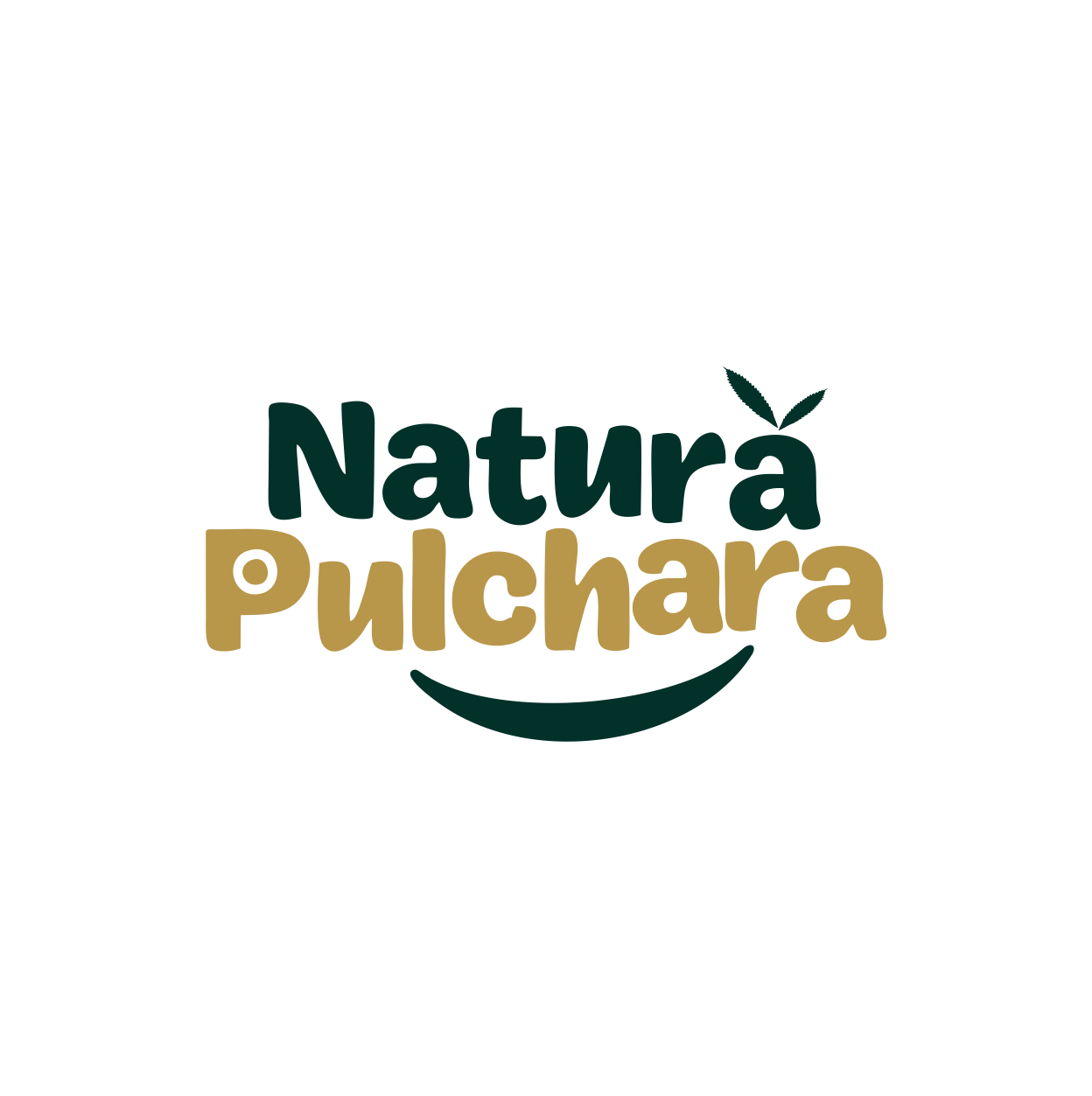 naturapulchara.base44.app favicon