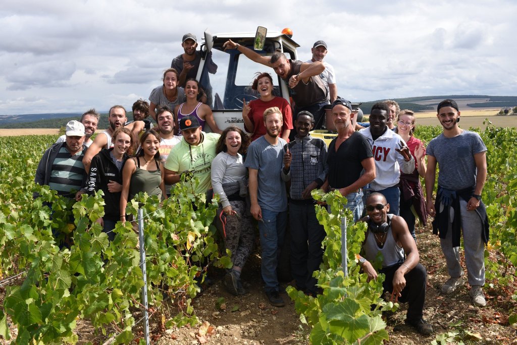 Clos du Roi