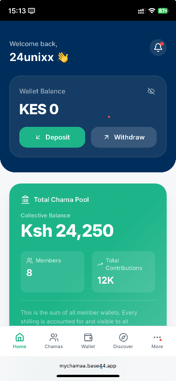 Financial App UI/UX template preview