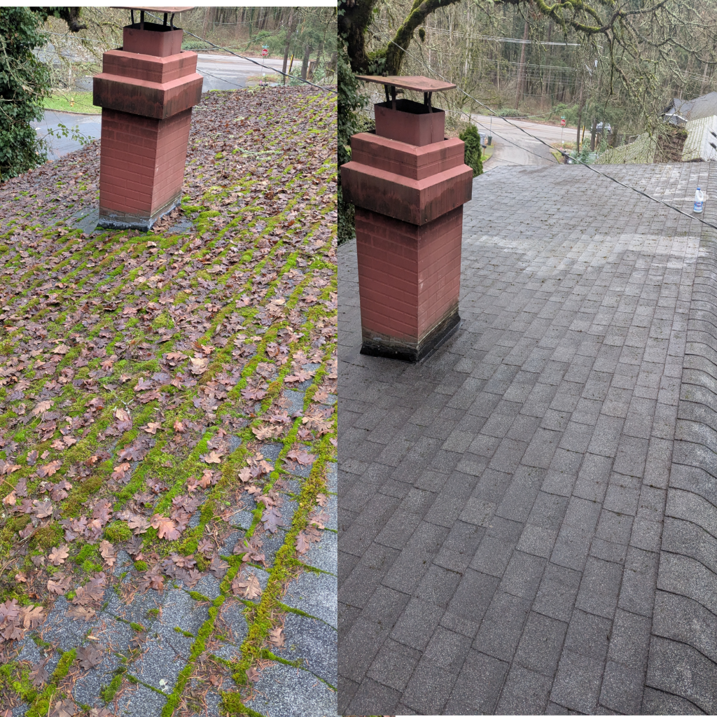 Roof Moss Removal Before & After