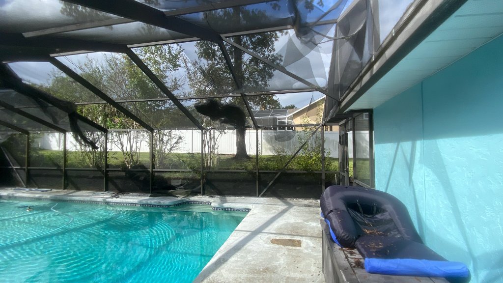 DeBary Pool Screen Repair — pool enclosure after professional rescreen