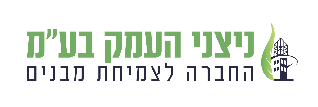 ניצני העמק