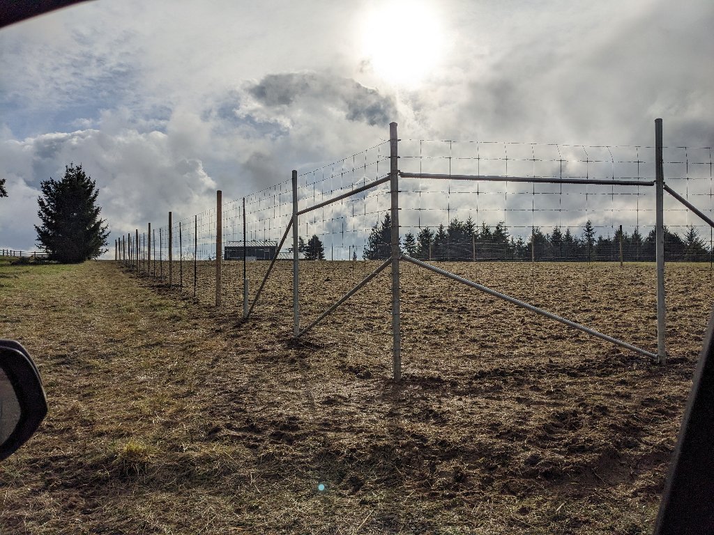 The Complete Guide to Estate Property Management in Oregon