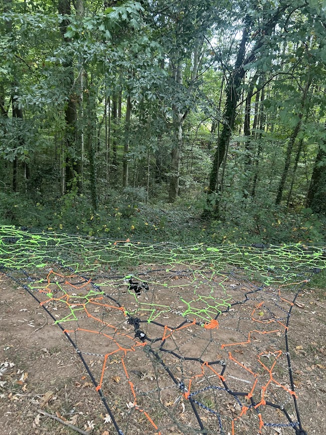 Forest Floor Expanse detail 3