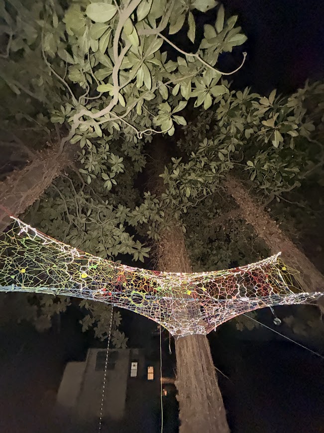 The Magnolia Canopy detail 2