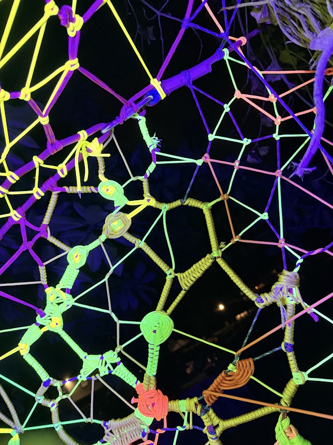 Neon Neural Web
