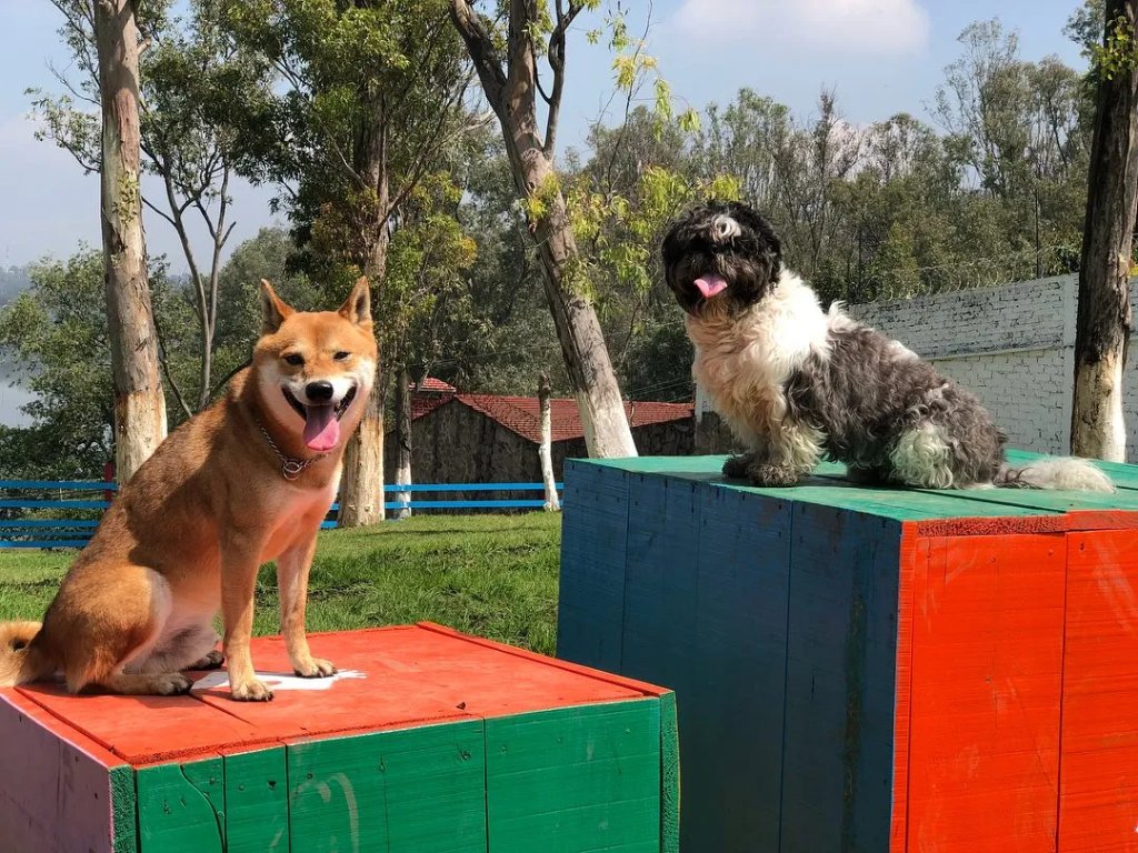 Day Care (Guardería)