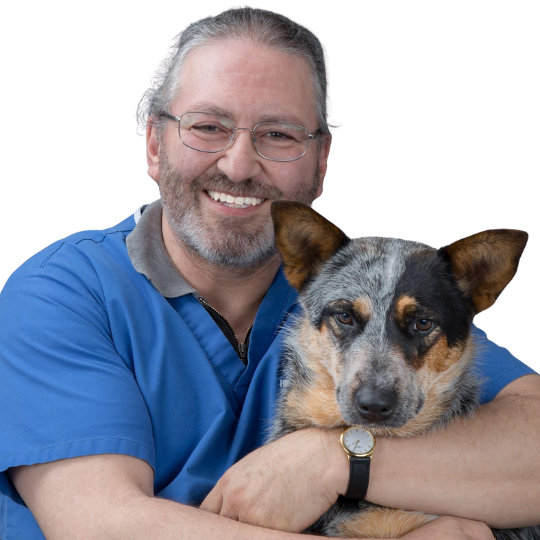 Veterinaria Dermatológica