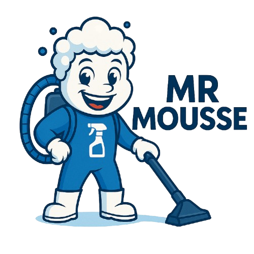 Mr Mousse - Entreprise de nettoyage à Clermont-Ferrand