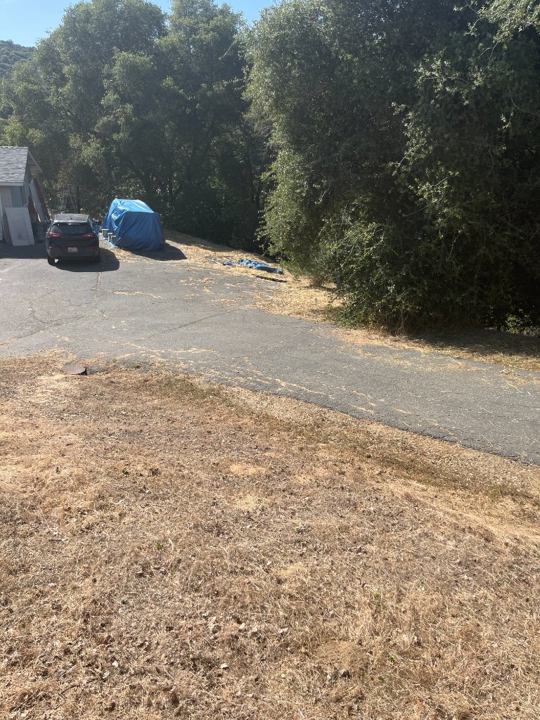 Cleared property 11