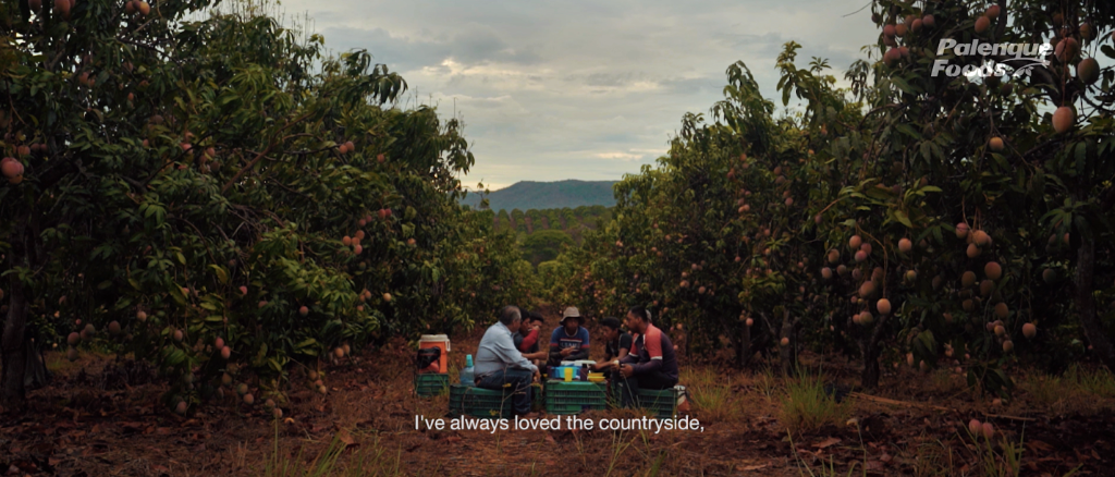 Mango orchards in Oaxaca