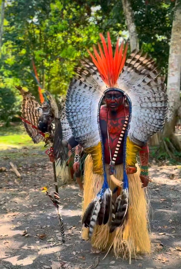 Pajé amazônico — adorno de penas