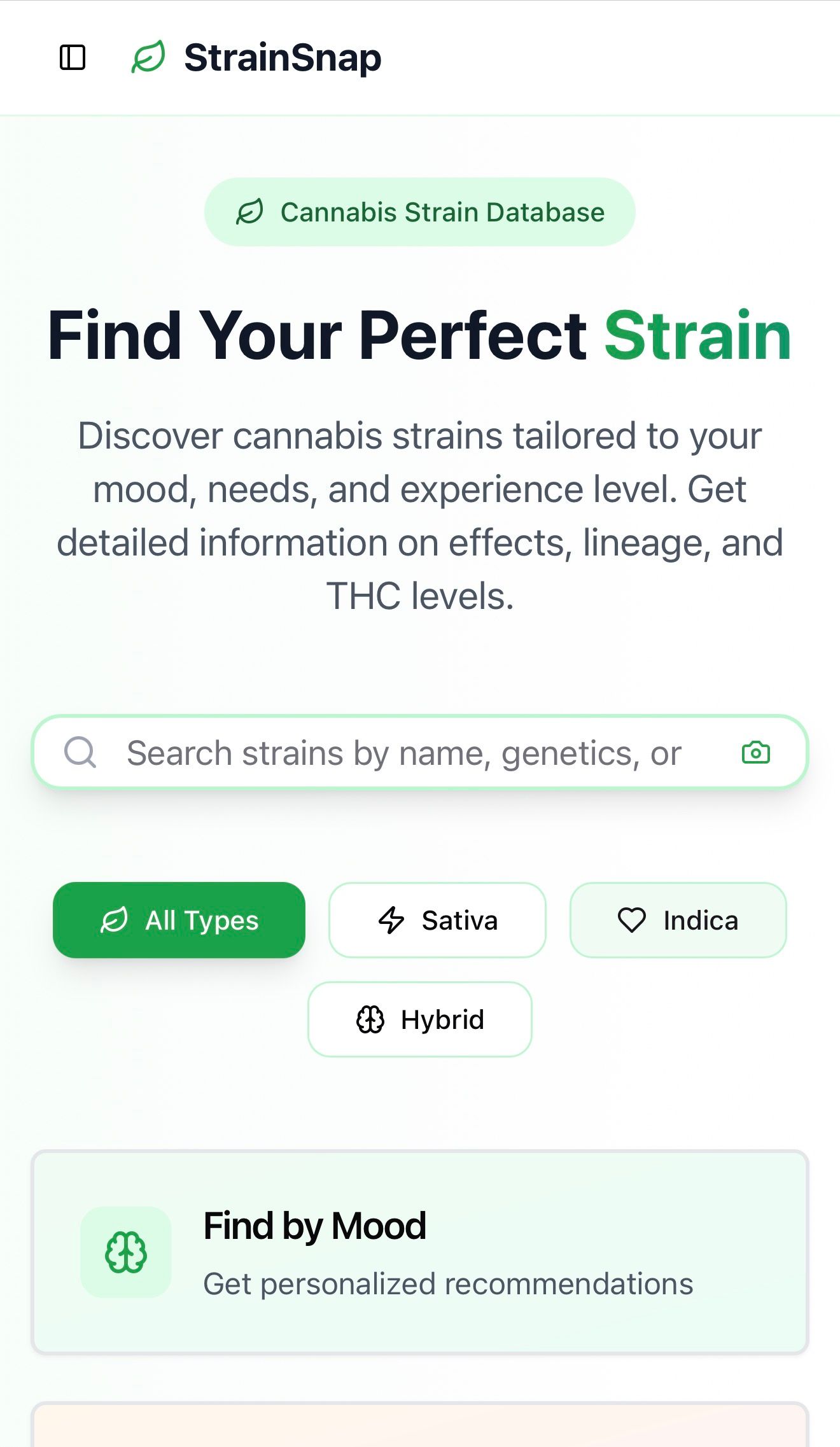 StrainSnap template preview