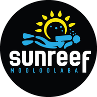 Dive Manager logo