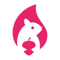 Squirrel360 logo
