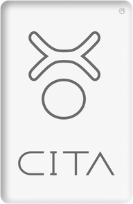 CITA.DESDEV logo