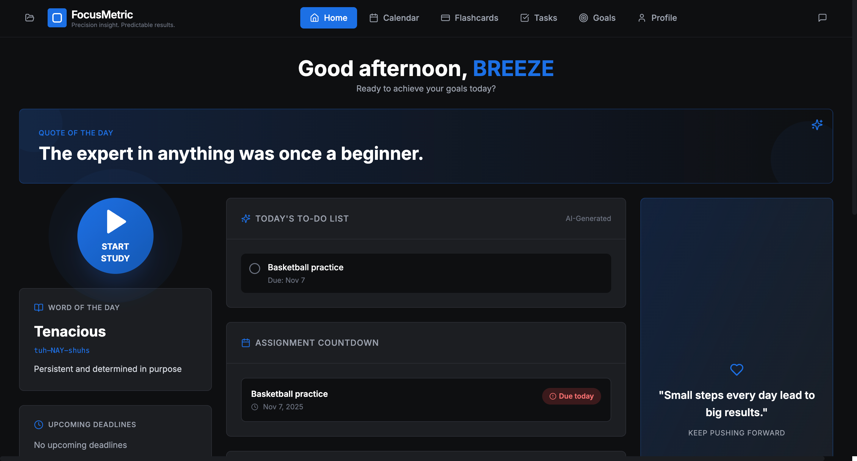 FocusMetric template preview