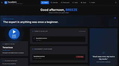 FocusMetric template preview