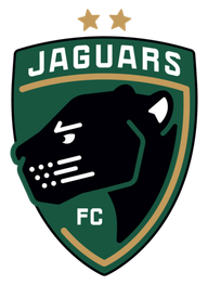 Jaguars DA TeamFlow logo
