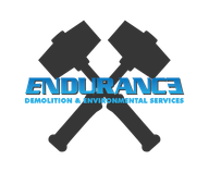 ENDURANCE logo