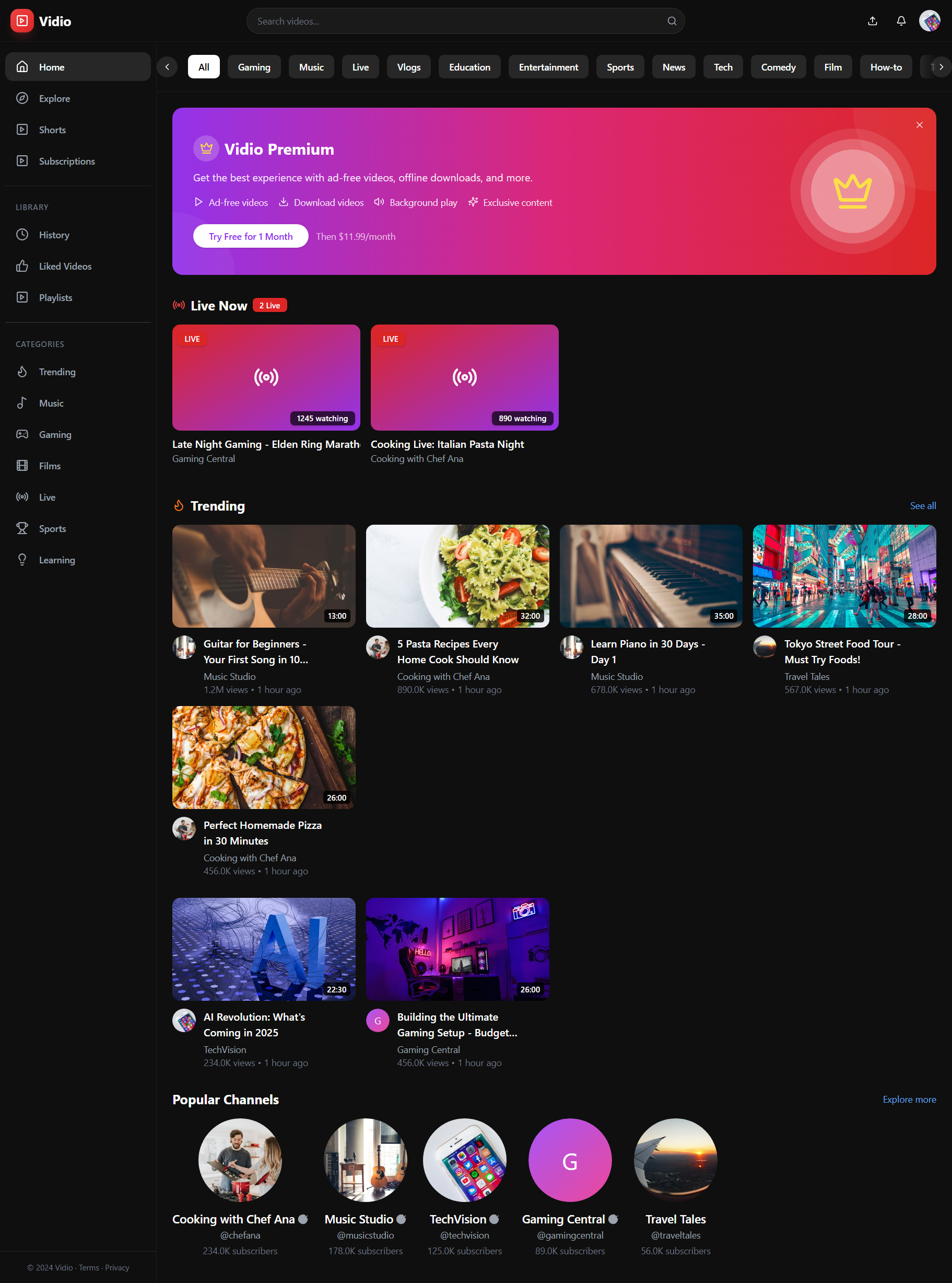 vidio  template preview