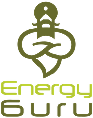 Energy Guru logo