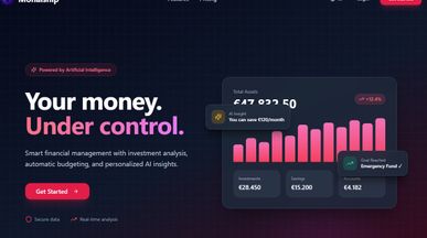 Monaiship Website template preview