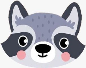 AmigoPachi