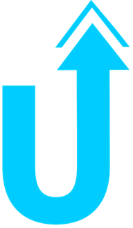 LevelUP Academy logo