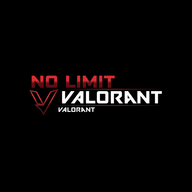 No Limit Coaching logo