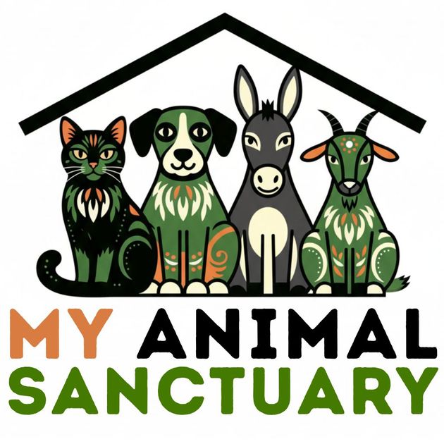 My Sanctuary | Jacobs Ridge Animal Sanctuary