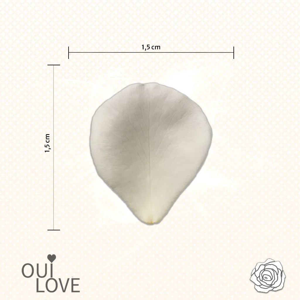 Box L'Essentielle - Kit Demande en Mariage DIY 4