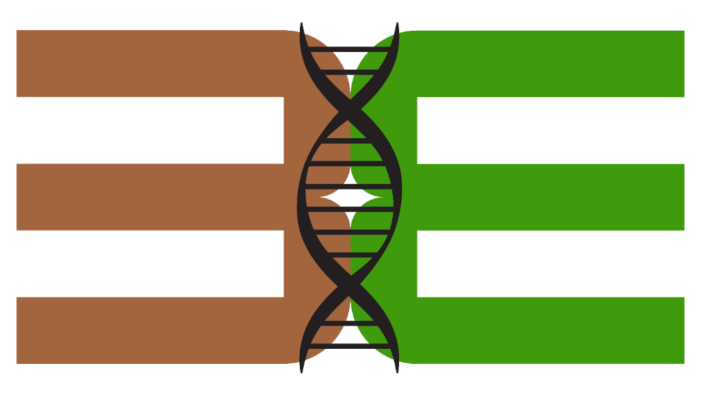 DNA3E