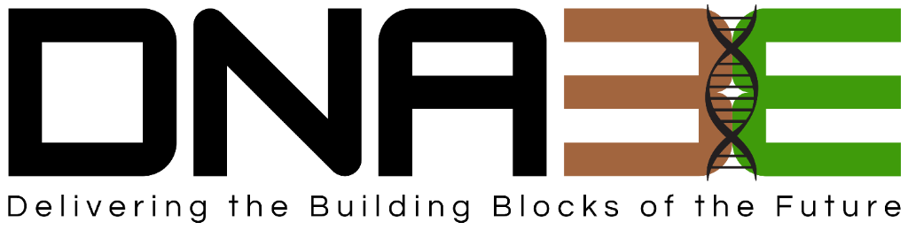 DNA3E