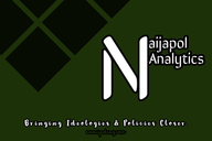 NaijaPol Voter Compass logo