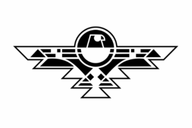 Rising PHX Foundation Volunteer logo