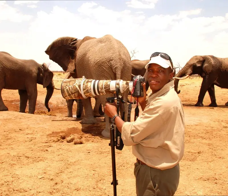 Safari guide