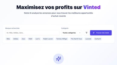 Vinted Arbitrage template preview