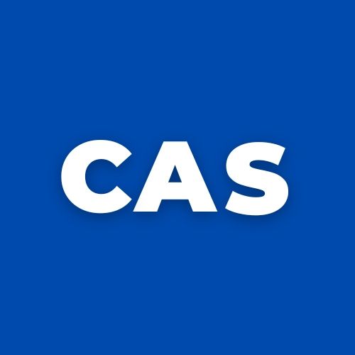 CAS Consulting & Application Services