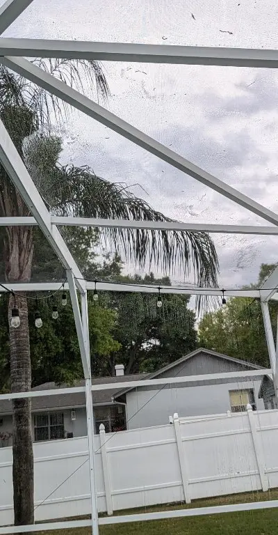 Green algae pool cage before cleaning