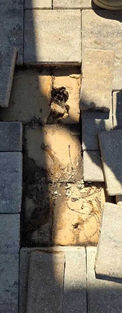 Pool deck surface cleaning Clermont