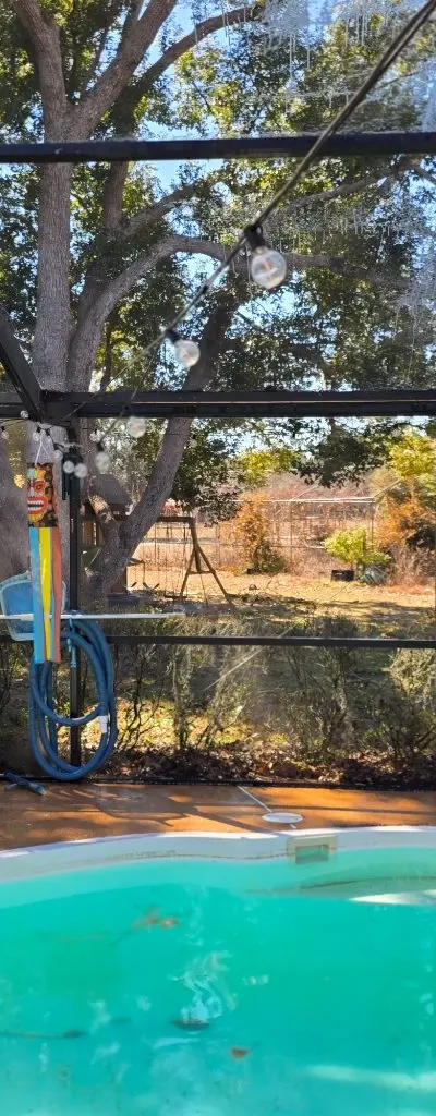 Driveway paver pressure washing
