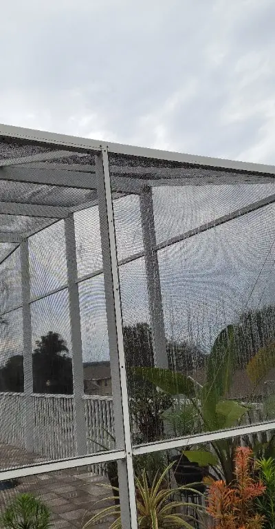 Pool cage screen cleaning after