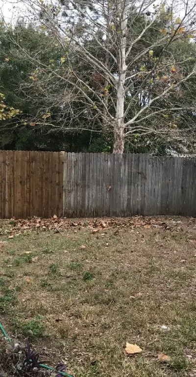 Wood fence cleaning before after Central Florida