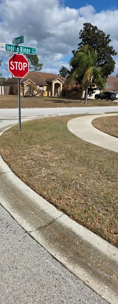 Sidewalk after pressure washing